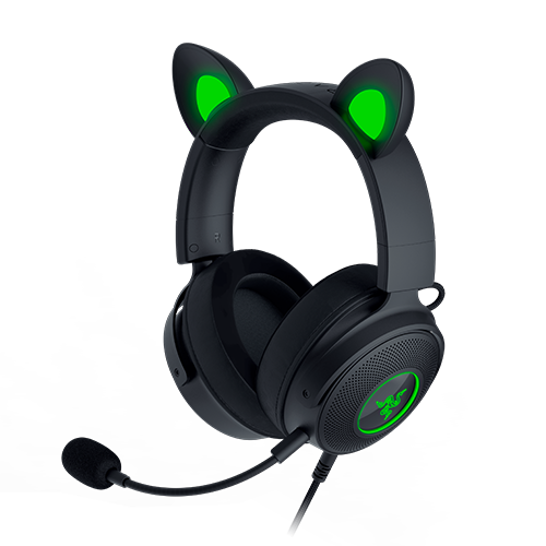 Wired RGB Headset with Interchangeable Ears